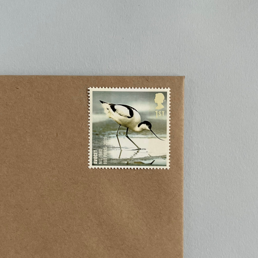 1st Class Postage Stamps - Set of 10 - Birds (10 Designs)