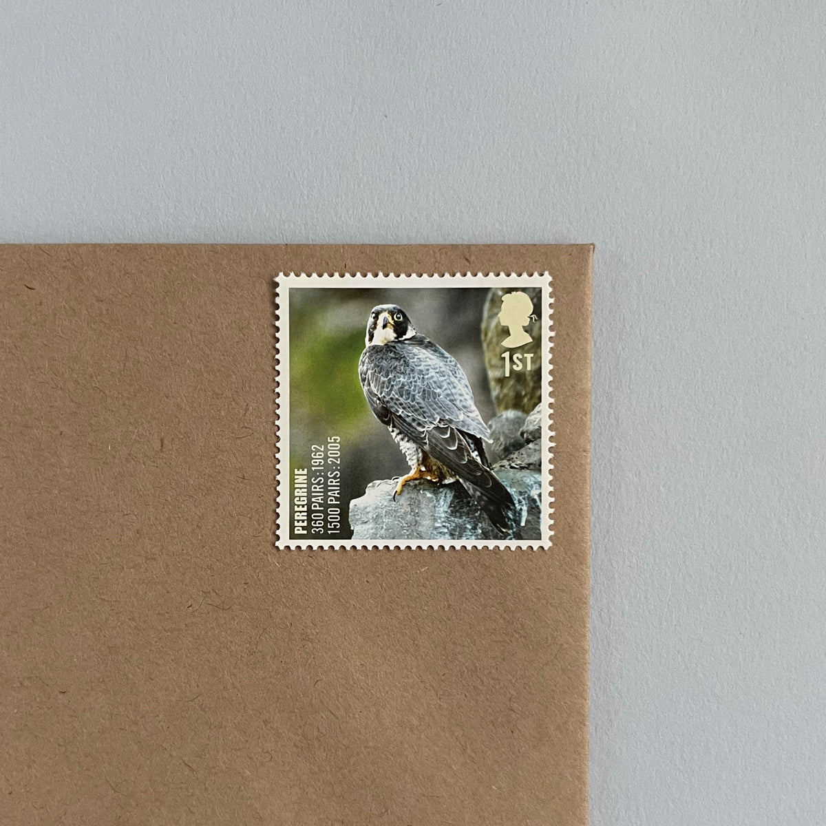 1st Class Postage Stamps - Set of 10 - Birds (10 Designs)