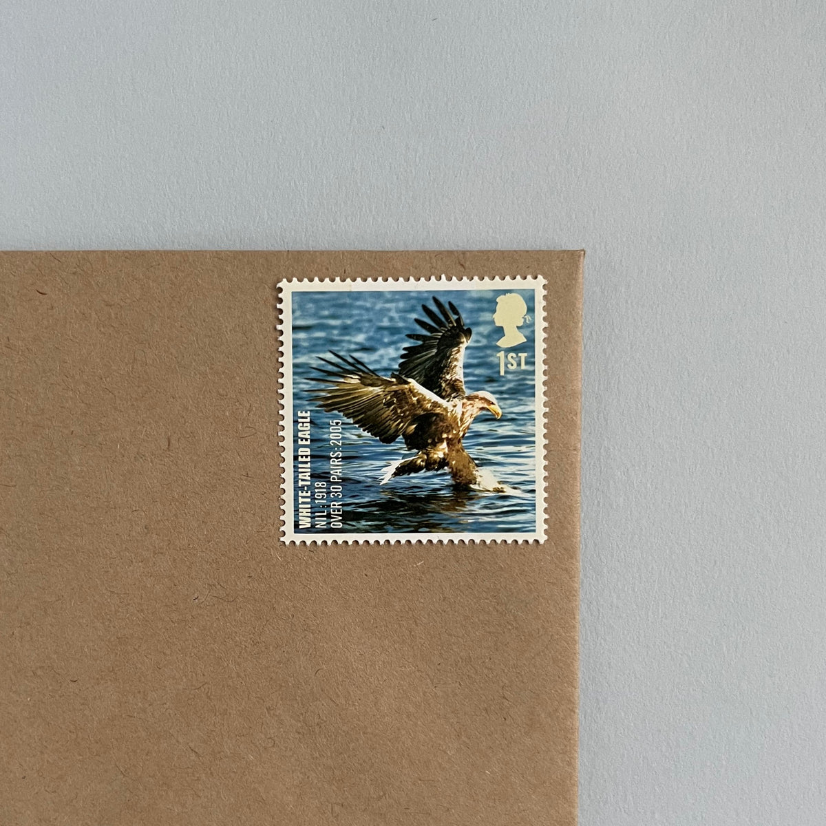 1st Class Postage Stamps - Set of 10 - Birds (10 Designs)