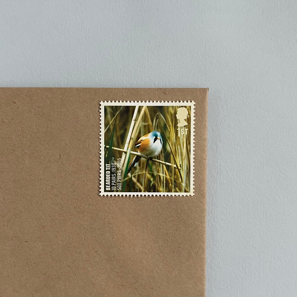 1st Class Postage Stamps - Set of 10 - Birds (10 Designs)
