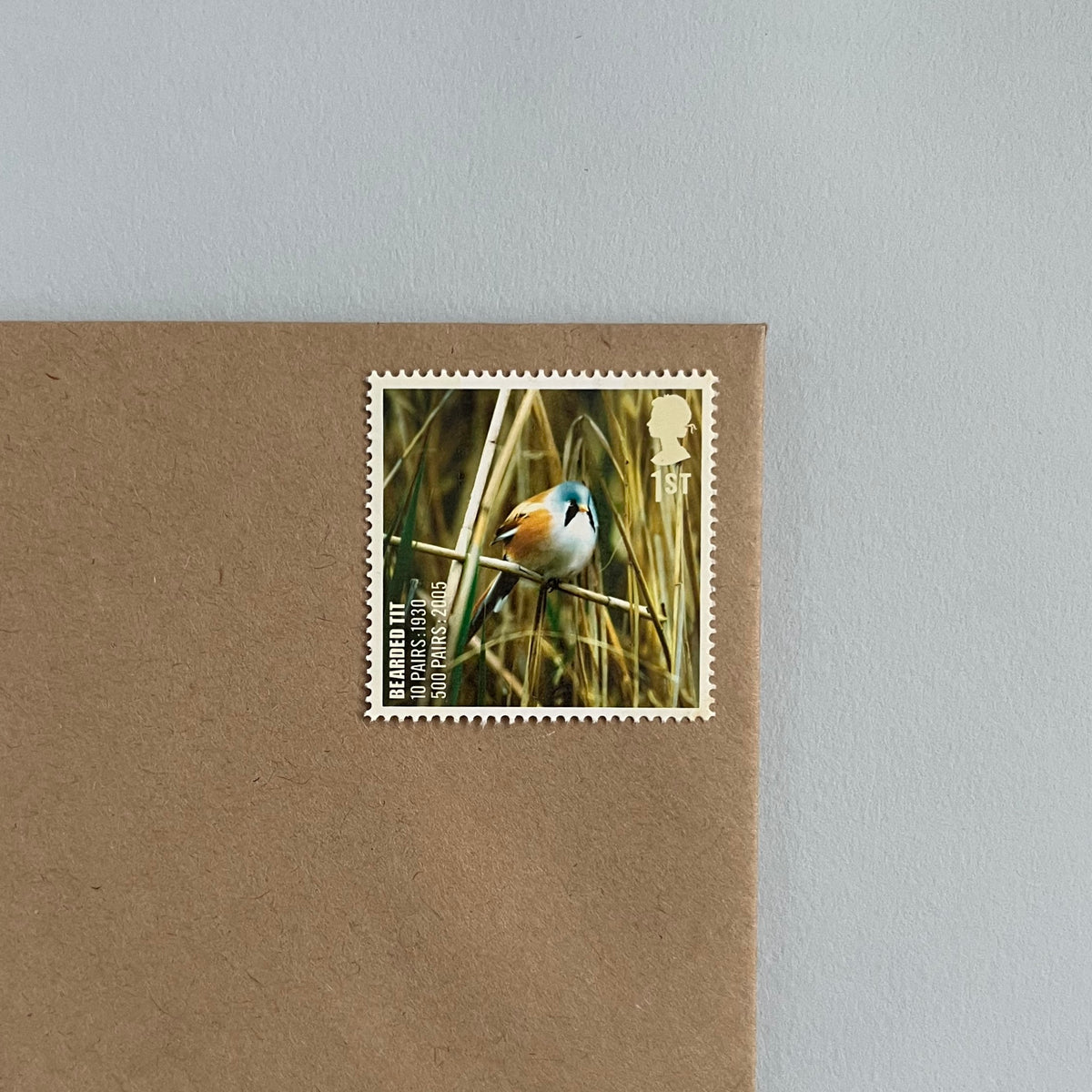 1st Class Postage Stamps - Set of 10 - Birds (10 Designs)