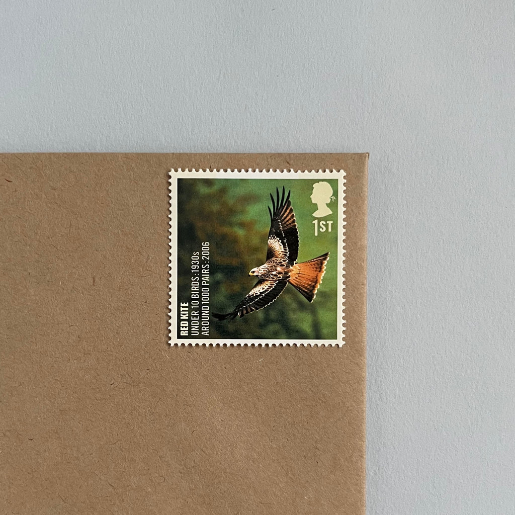 1st Class Postage Stamps - Set of 10 - Birds (10 Designs)