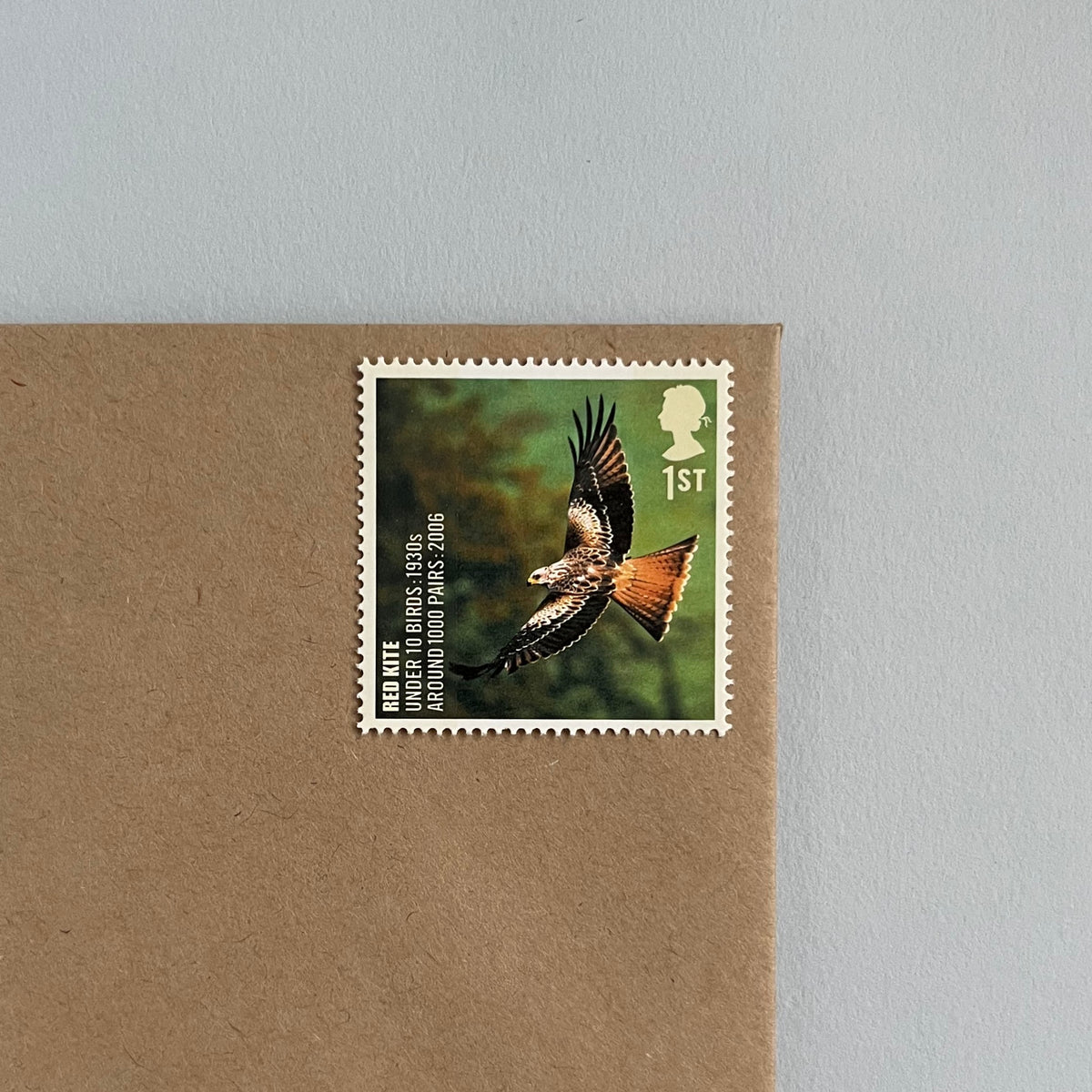 1st Class Postage Stamps - Set of 10 - Birds (10 Designs)
