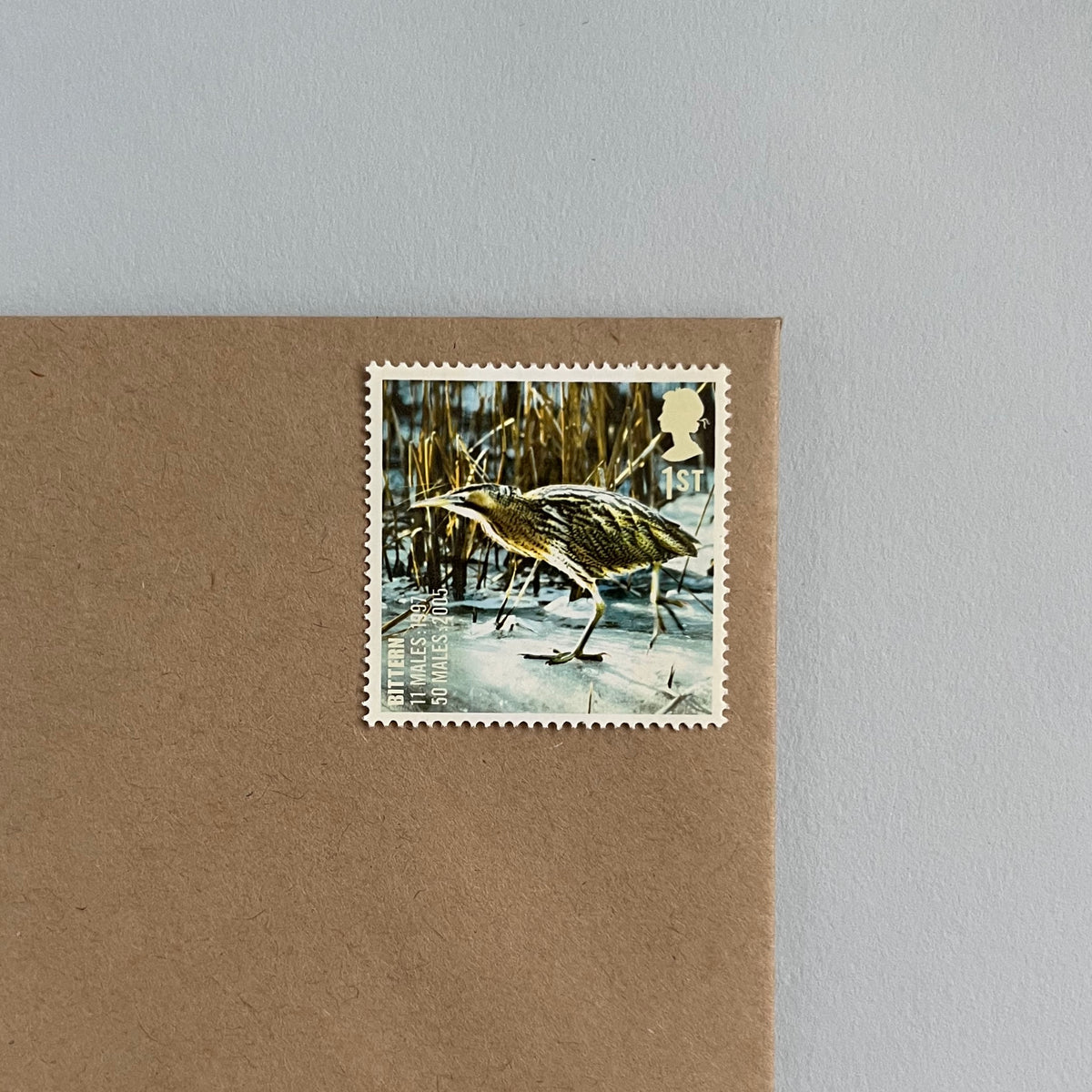 1st Class Postage Stamps - Set of 10 - Birds (10 Designs)