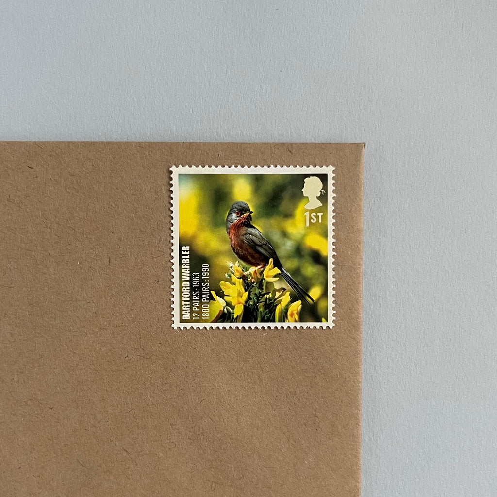 1st Class Postage Stamps - Set of 10 - Birds (10 Designs)