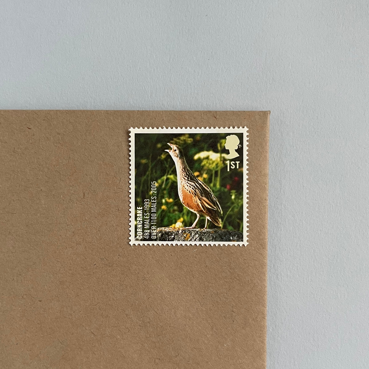 1st Class Postage Stamps - Set of 10 - Birds (10 Designs)