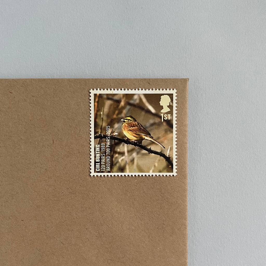 1st Class Postage Stamps - Set of 10 - Birds (10 Designs)