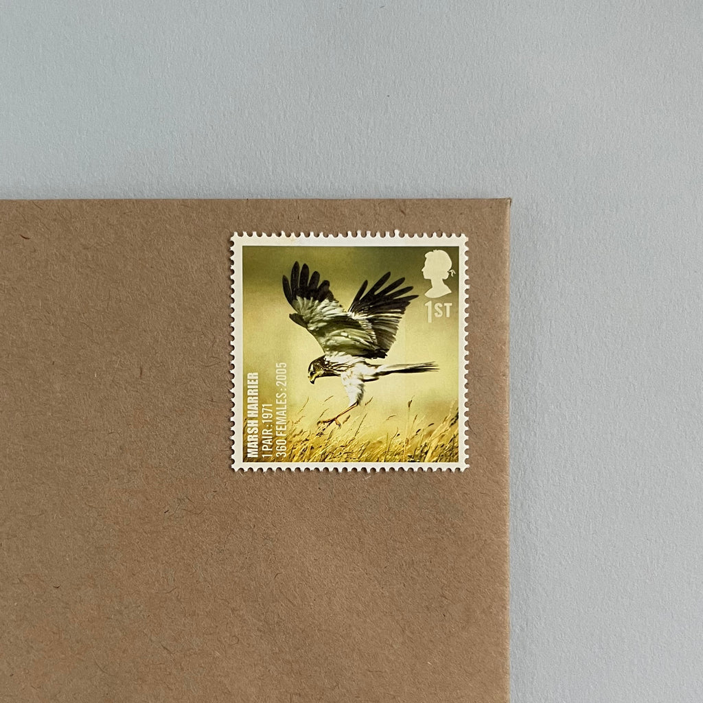 1st Class Postage Stamps - Set of 10 - Birds (10 Designs)