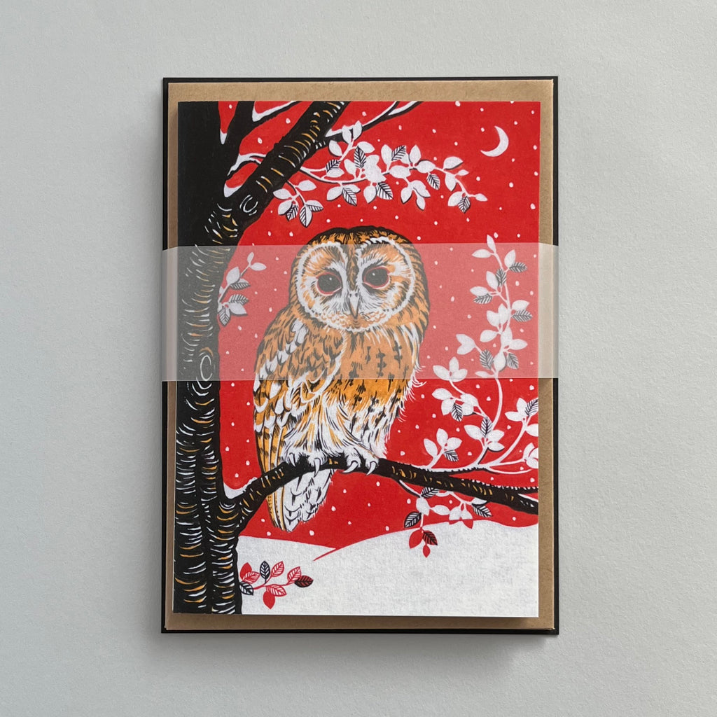 Christmas Greetings Cards Set of 5, Owl on Snowy Night