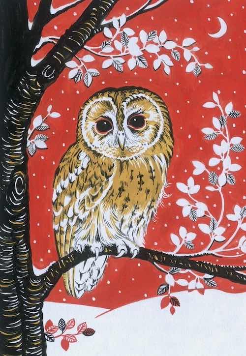 Christmas Greetings Cards Set of 5, Owl on Snowy Night